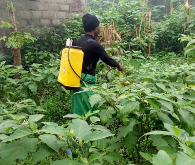 519541855_717081454474749_7591726408491795848_n 519541855_717081454474749_7591726408491795848_n